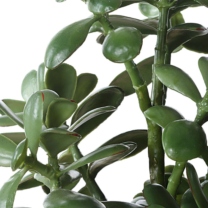 Uttermost - 60226 - Accent Plant - Crassula Jade - Textured Tan