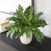 Uttermost - 60229 - Glazed Pot - Verdure Fern - Textured Tan