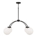 Capital Lighting - 457141BI-557 - Four Light Chandelier - Amos - Black Iron