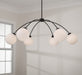 Capital Lighting - 457161BI-557 - Six Light Chandelier - Amos - Black Iron