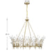 Savoy House - 1-4074-8-127 - Eight Light Chandelier - Orianna - Noble Brass