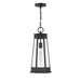 Savoy House - 5-208-BK - One Light Outdoor Hanging Lantern - Payne - Matte Black