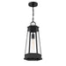 Savoy House - 5-208-BK - One Light Outdoor Hanging Lantern - Payne - Matte Black