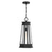 Savoy House - 5-208-BK - One Light Outdoor Hanging Lantern - Payne - Matte Black