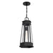 Savoy House - 5-208-BK - One Light Outdoor Hanging Lantern - Payne - Matte Black