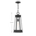 Savoy House - 5-208-BK - One Light Outdoor Hanging Lantern - Payne - Matte Black