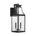 Savoy House - 5-607-BK - Two Light Outdoor Wall Lantern - Emery - Matte Black