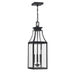 Savoy House - 5-608-BK - Three Light Outdoor Hanging Lantern - Emery - Matte Black