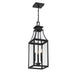 Savoy House - 5-608-BK - Three Light Outdoor Hanging Lantern - Emery - Matte Black