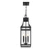 Savoy House - 5-608-BK - Three Light Outdoor Hanging Lantern - Emery - Matte Black