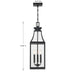 Savoy House - 5-608-BK - Three Light Outdoor Hanging Lantern - Emery - Matte Black