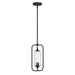 Savoy House - 7-3022-1-89 - One Light Mini-Pendant - Holton - Matte Black