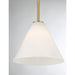 Savoy House - 7-4011-1-322 - One Light Mini-Pendant - Blair - Warm Brass