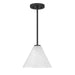 Savoy House - 7-4011-1-89 - One Light Mini-Pendant - Blair - Matte Black