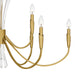 Quoizel - CCY5040BRG - Nine Light Chandelier - Cecily - Brushed Gold