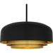 Quoizel - FRK2822MBK - Four Light Pendant - Frankie - Matte Black