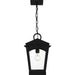 Quoizel - HUK1510EK - One Light Mini Pendant - Huck - Earth Black