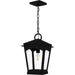 Quoizel - HUK1910EK - One Light Outdoor Hanging Lantern - Huck - Earth Black