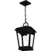 Quoizel - HUK1910EK - One Light Outdoor Hanging Lantern - Huck - Earth Black