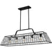 Quoizel - QLC6176MBK - Five Light Linear Chandelier - Rainier - Matte Black
