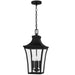 Quoizel - QTN1510EK - Four Light Pendant - Quentin - Earth Black