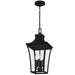 Quoizel - QTN1510EK - Four Light Pendant - Quentin - Earth Black