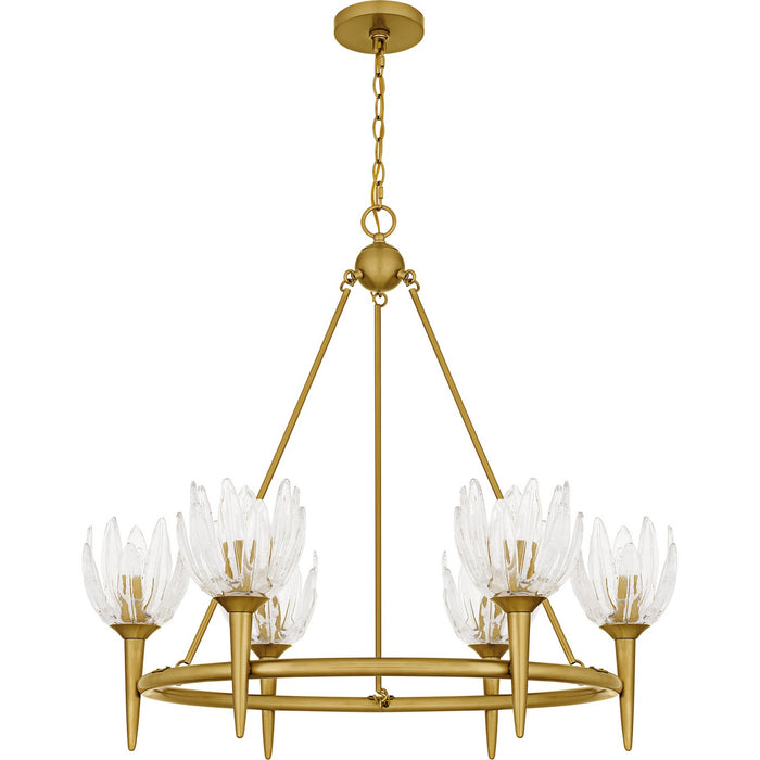 Quoizel - SHA5032BRG - Six Light Chandelier - Shea - Brushed Gold