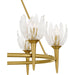 Quoizel - SHA5032BRG - Six Light Chandelier - Shea - Brushed Gold