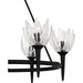 Quoizel - SHA5032MBK - Six Light Chandelier - Shea - Matte Black