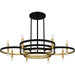 Quoizel - WID5050MBK - Eight Light Chandelier - Winsland - Matte Black