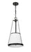 Z-Lite - 1954P12-MB - Four Light Pendant - Madeline - Matte Black