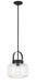 Minka-Lavery - 3937-899 - One Light Pendant - Wickglow - Dark Matte Black