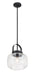 Minka-Lavery - 3937-899 - One Light Pendant - Wickglow - Dark Matte Black