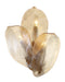 Metropolitan - N2213-A-732 - Three Light Wall Sconce - Orchid - Legacy Brass