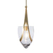 Hubbardton Forge - 187468-SKT-MULT-86-ZM0838 - One Light Pendant - Vaso - Modern Brass