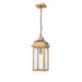 Artcraft - AC8185WB - One Light Outdoor Pendant - Madrid - Weathered Brass