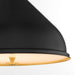 Quorum - 6863-16-5980 - One Light Pendant - Bonnel - Matte Black / Aged Brass