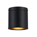 Designers Fountain - D353C-FM-MB - One Light Flush Mount - Fleur Oasis - Matte Black