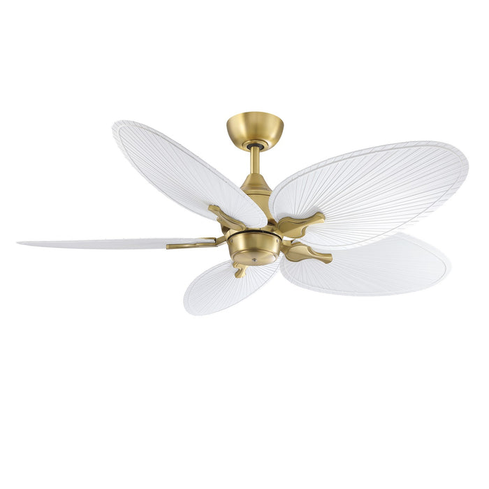 Fanimation - MAD3250BS - DC Motor - Islander DC - Brushed Satin Brass