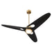 Quorum - 3-132-40 - 60"Ceiling Fan - Apogee - Aged Brass