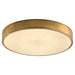 Quorum - 3-656-56 - LED Ceiling Mount - Floe - Brushed Brass