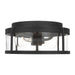 Generation Lighting - GLO1132C-TXB - Flush Mount - Luning - Textured Black
