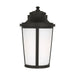 Generation Lighting - GLO1151ANBZ - Lantern - Portola - Antique Bronze