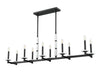 Z-Lite - 3045-10L-MB - Ten Light Linear Chandelier - Kaden - Matte Black
