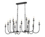 Z-Lite - 352-56L-MB - 16 Light Linear Chandelier - Allistair - Matte Black
