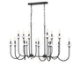 Z-Lite - 352-56L-MB - 16 Light Linear Chandelier - Allistair - Matte Black
