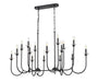 Z-Lite - 352-56L-MB - 16 Light Linear Chandelier - Allistair - Matte Black