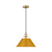 Golden - 3306-L BCB-AY - One Light Pendant - Orwell - Brushed Champagne Brass
