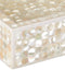 Currey and Company - 1200-1020 - Tray Set of 2 - Gerri Dot - Natural
