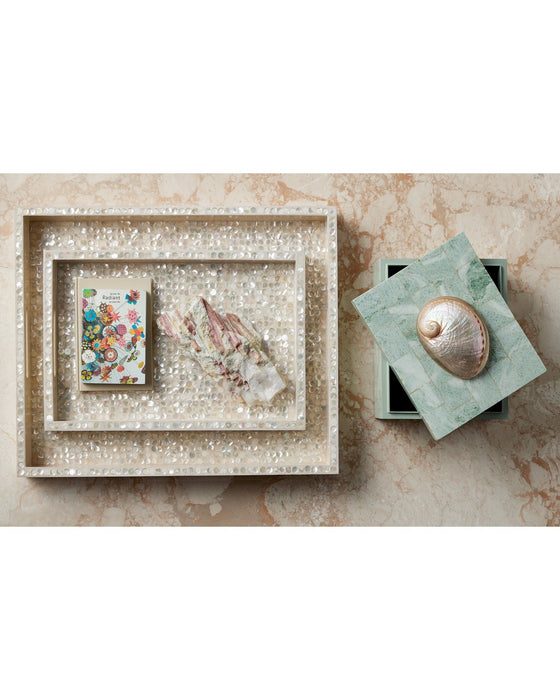 Currey and Company - 1200-1020 - Tray Set of 2 - Gerri Dot - Natural